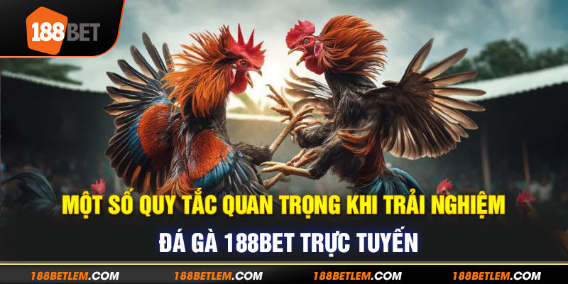 Những quy tắc quan trọng khi trải nghiệm sảnh cược
